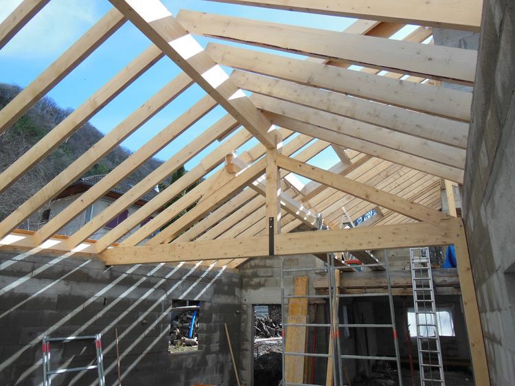 Travaux de charpente couverture zinguerie Saint Martin d'Hres 2013 (6)